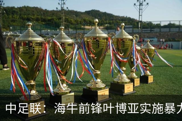 中足联：海牛前锋叶博亚实施暴力行为 停赛4场罚款4万